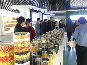荣成 严把生产源头关，守护保健食品质量安全